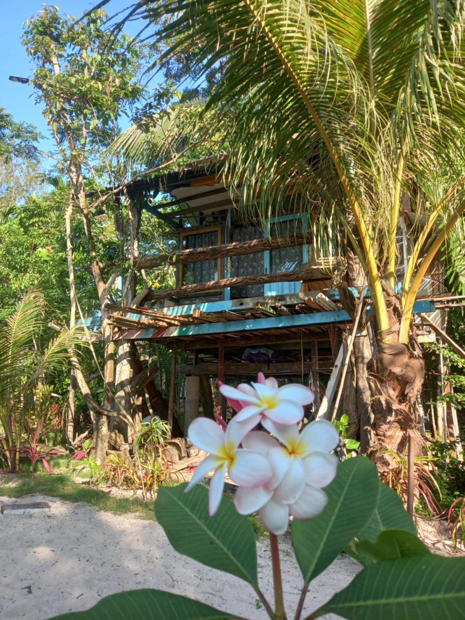 Sumatra Ecolodge Sungaipisang Quarto foto