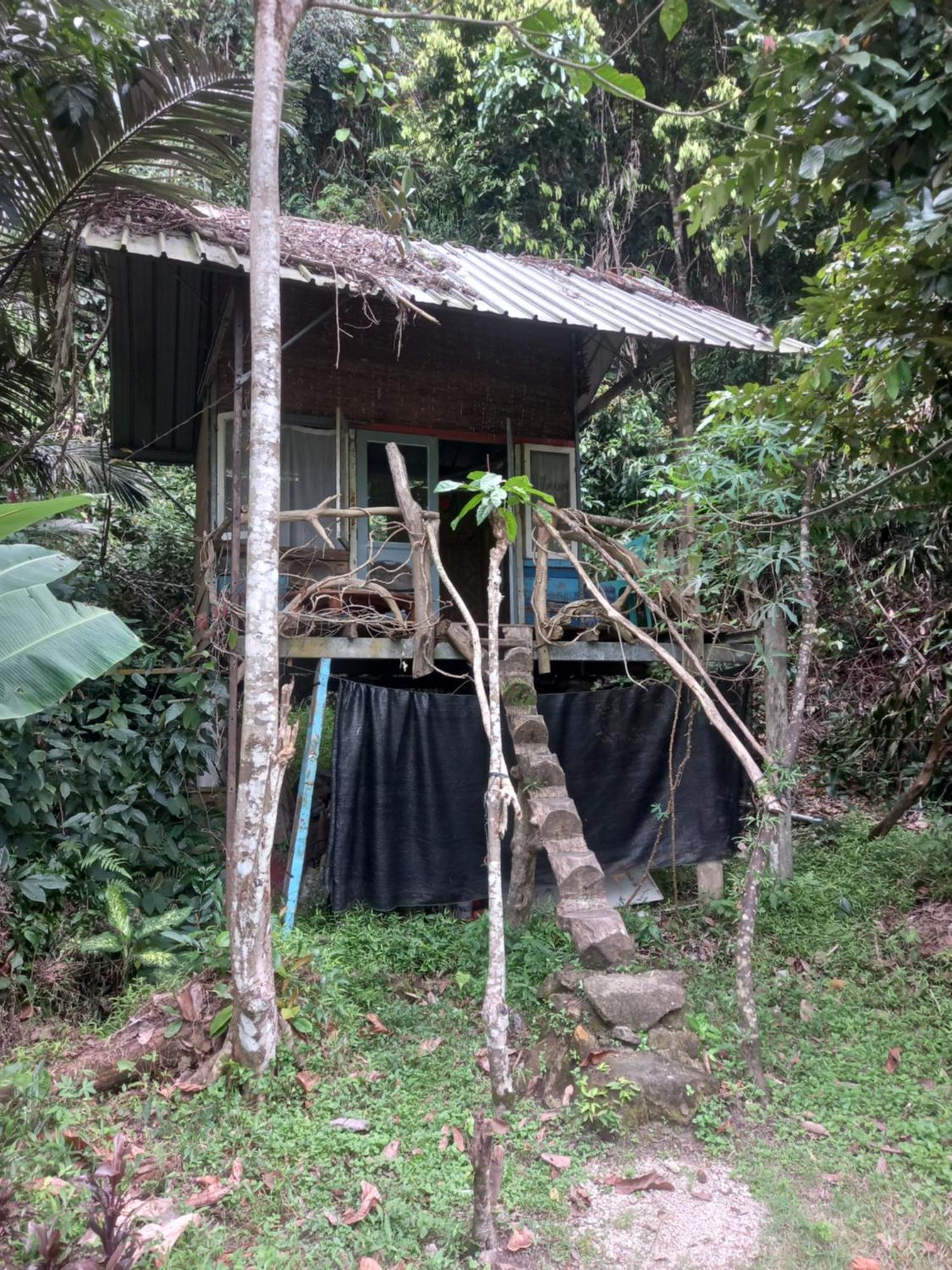 Sumatra Ecolodge Sungaipisang Quarto foto